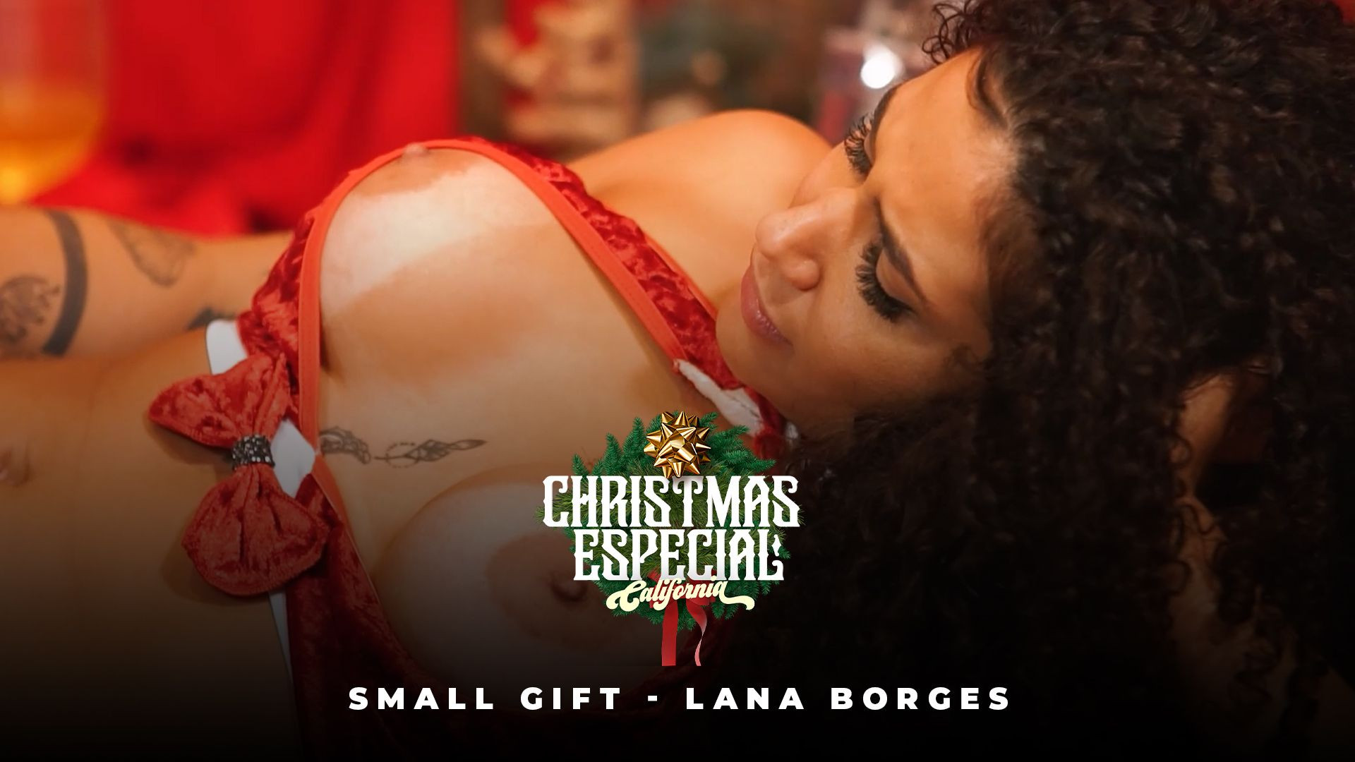 Christmas gift - Lana Borges